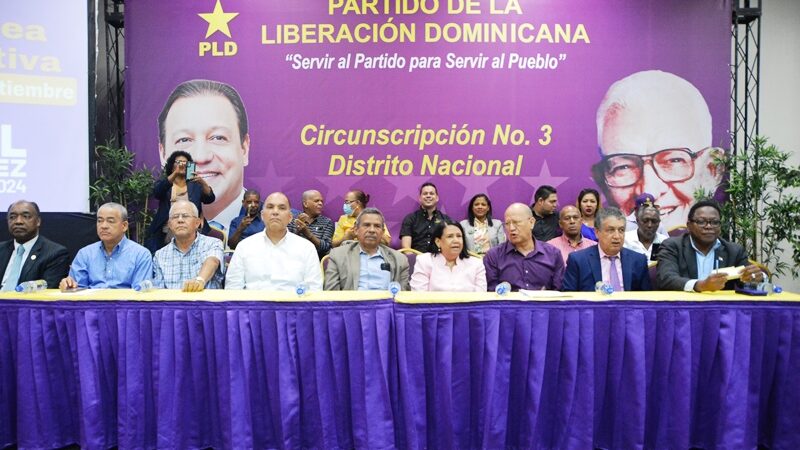 PLD expresa preocupación por posibles desviaciones en la reforma constitucional durante la Asamblea Revisora