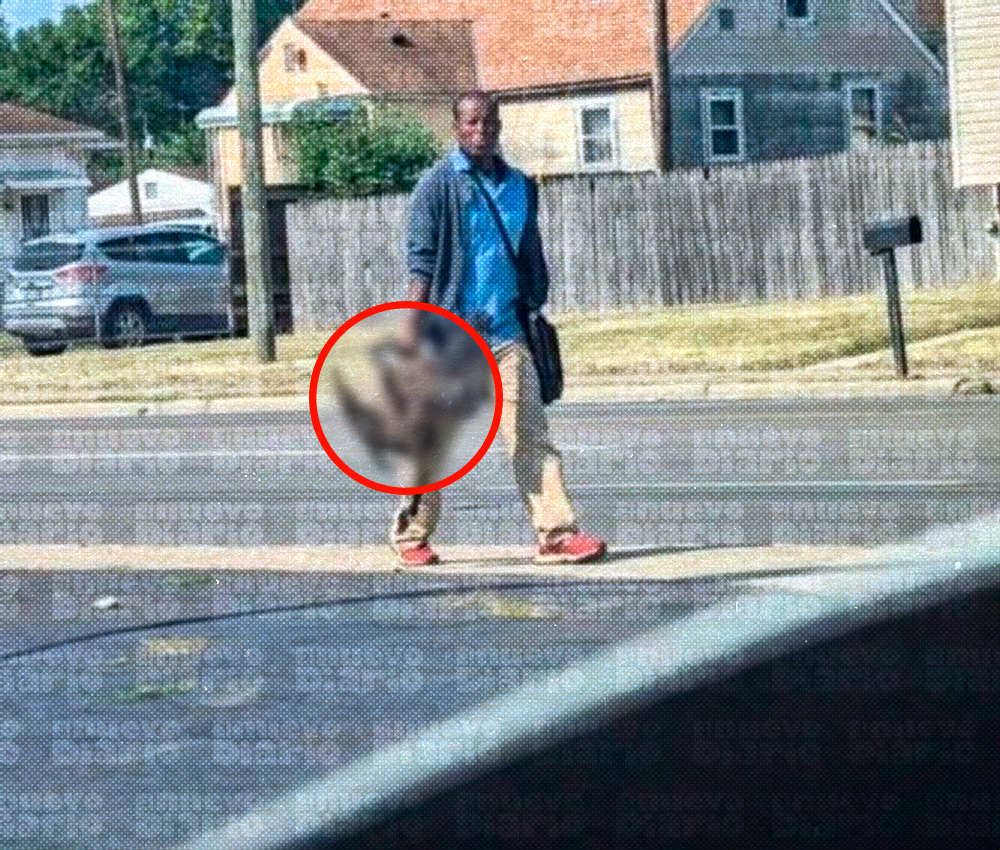 Springfield bajo fuego: Escándalo por denuncias de haitianos en los parques atrapando patos por el cuello, decapitándolos y llevándolos consigo