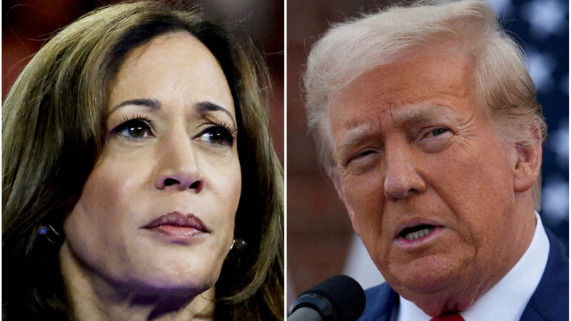 Kamala Harris aventaja a Trump entre votantes latinos de los estados clave, según encuesta